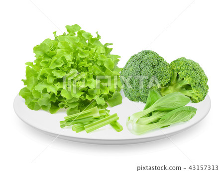 Green oak lettuce, bok choy, celery, broccoli Green oak lettuce, bok choy, celery, broccoli 43157313