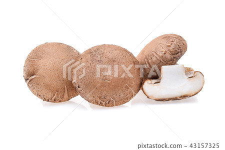 Shiitake mushroom on the White background 43157325