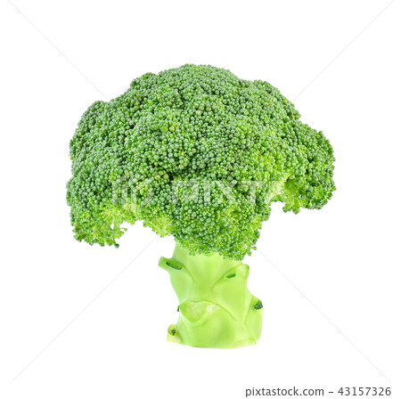 Broccoli isolated on white background 43157326