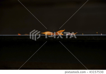 Maple leaf on the roof Maple leaf on the roof 43157530