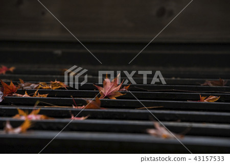 Maple leaf on the roof Maple leaf on the roof 43157533