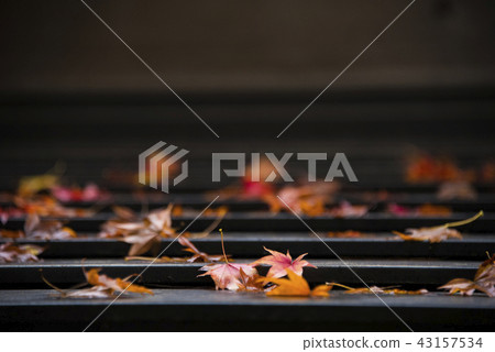 Maple leaf on the roof Maple leaf on the roof 43157534