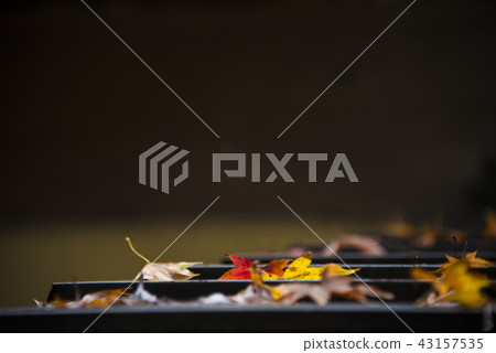 Maple leaf on the roof Maple leaf on the roof 43157535