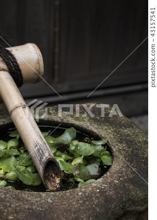 Maple leaf on the roof Maple leaf on the roof 43157541