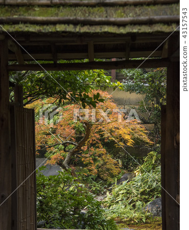 Maple leaf on the roof Maple leaf on the roof 43157543