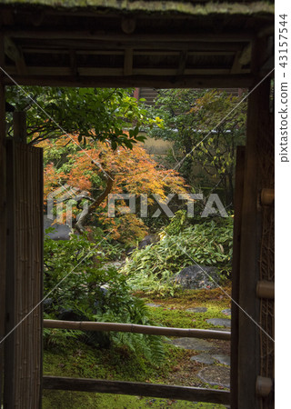 Maple leaf on the roof Maple leaf on the roof 43157544