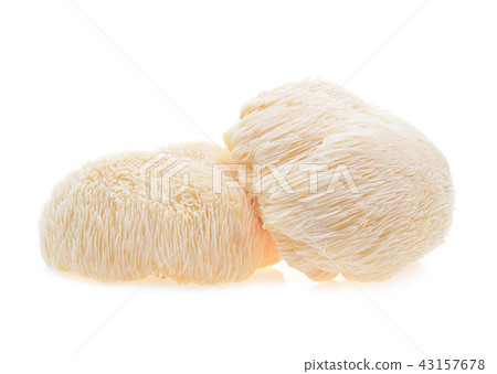 lion mane mushroom isolated on white background. lion mane mushroom isolated on white background. 43157678