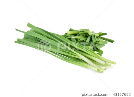 Garlic chives isolated on white background. 43157693