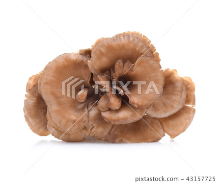 maitake mushrooms isolated on white background 43157725