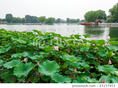 Shichahai in Beijing 43157953