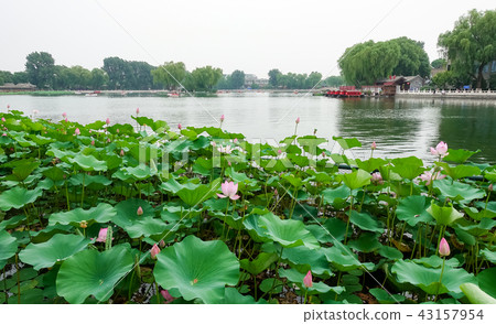 Shichahai in Beijing 43157954