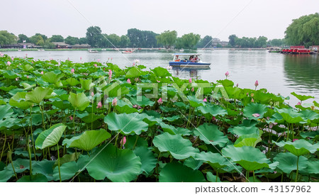 Shichahai in Beijing 43157962