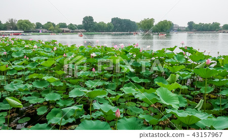 Shichahai in Beijing 43157967