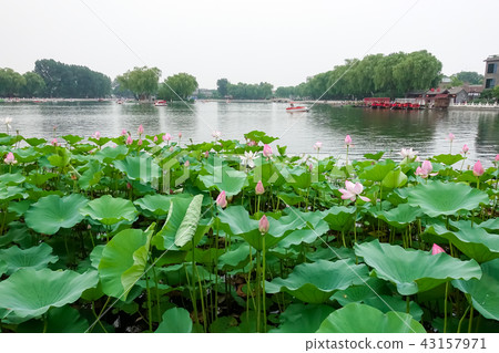 Shichahai in Beijing Shichahai in Beijing 43157971