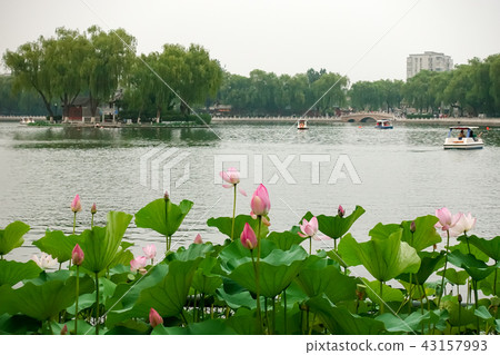 Shichahai in Beijing 43157993
