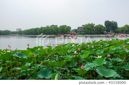 Shichahai in Beijing Shichahai in Beijing 43158000