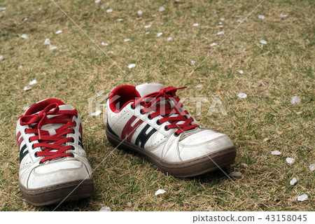 Hanami宴會與運動鞋 Hanami宴會與運動鞋 43158045