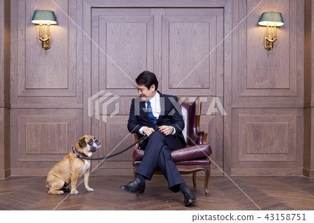 Bulldog, Businessman, Business, CEO, President, Representative, Office, Office, Office Bulldog, Businessman, Business, CEO, President, Representative, Office, Office, Office 43158751