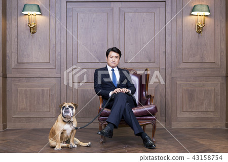 鬥牛犬,商人,業務,首席執行官,總統,代表,辦公室,辦公室,辦公室 鬥牛犬,商人,業務,首席執行官,總統,代表,辦公室,辦公室,辦公室 43158754
