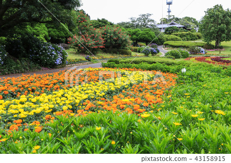 Nanooshima島公園花園 Nanooshima島公園花園 43158915