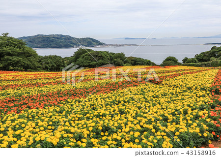Nanooshima島公園花園 Nanooshima島公園花園 43158916