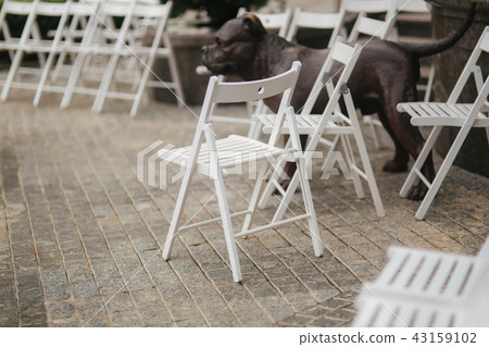 White chair on wedding ceremony. summer wedding decoration outside 43159102
