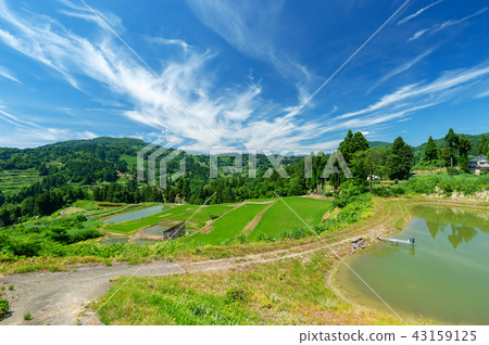 [Niigata Prefecture Nagaoka] Summer is a beautiful green season of rice terraces and terrace ponds of Yamakoshi 43159125
