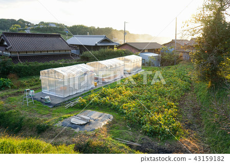 國家景觀 43159182
