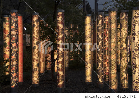 Friends of the Light Forest 43159471