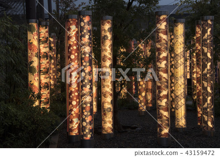 Friends of the Light Forest 43159472