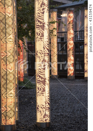 Friends of the Light Forest 43159474