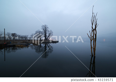 Misty dawn Misty dawn 43159571