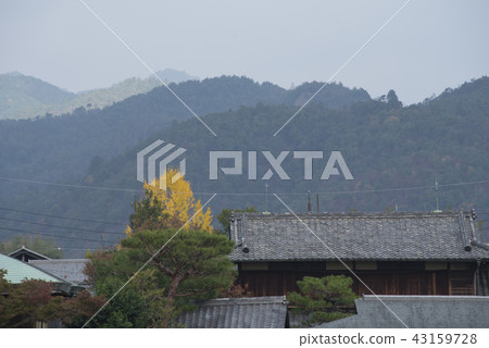 Kaede Arashiyama Kaede Arashiyama 43159728