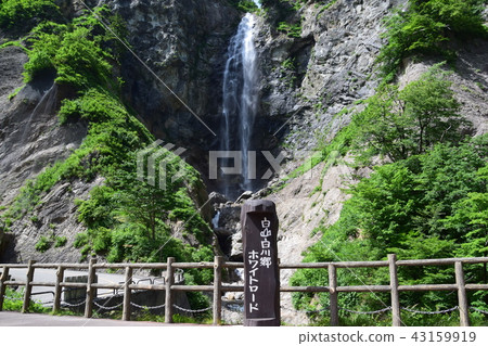 Fukubo Otaki Fukubo Otaki 43159919