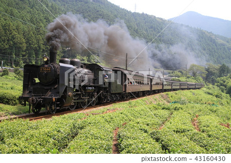 大川鐵道的SL列車 43160430