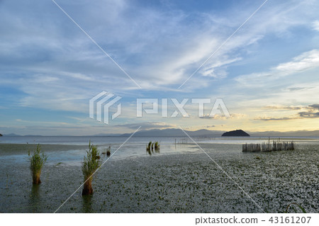 湖Oku Biwa / Kohoku水鳥公園和武生島日落視圖 43161207
