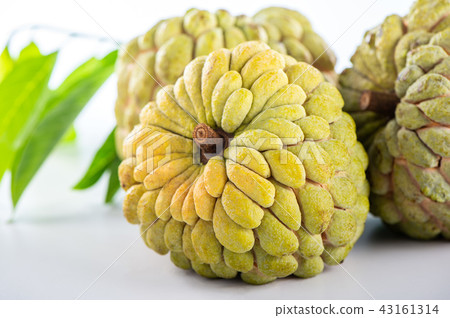 Suika Mizuka甜湯本瑞 43161314