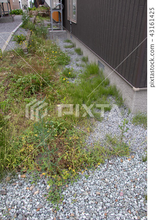 A rough garden A rough garden 43161425