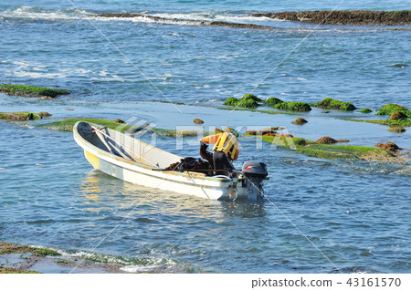 Kelp fishing Kelp fishing 43161570