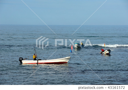 Kelp fishing 43161572