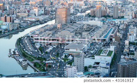 大阪市中央批發市場在清晨 43161917