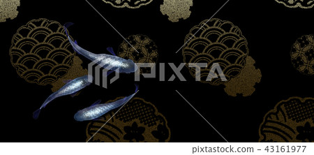 Luxury medaka 43161977