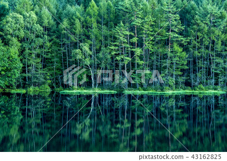 Nagano Prefecture Chino City Ogakeike 43162825