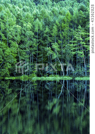 Nagano Prefecture Chino City Ogakeike 43162828