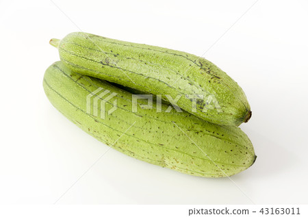 Loofah Loofah 43163011