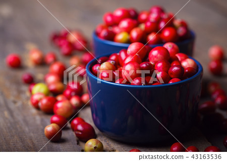 cranberries on a wooden table 43163536