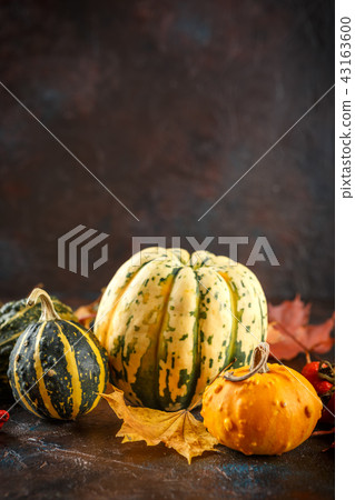 Small pumpkins decorative Small pumpkins decorative 43163600