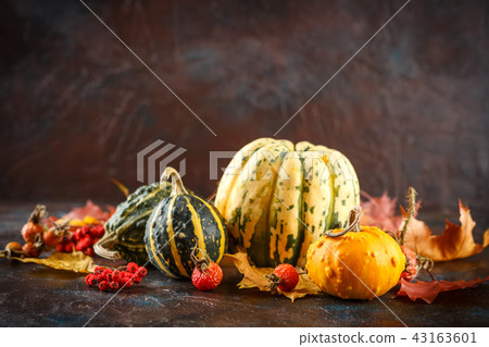 Small pumpkins decorative Small pumpkins decorative 43163601