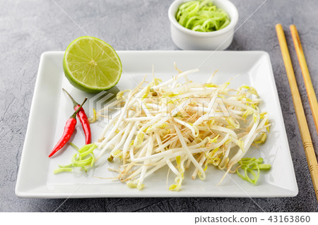 Bean sprouts in white plate. Bean sprouts in white plate. 43163860