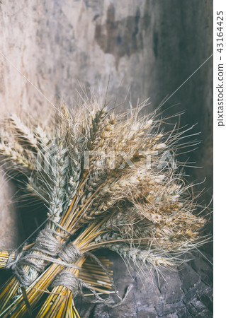 Bundles of ears of cereal plants 43164425